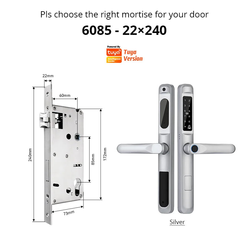 Tuya WiFi App waterproof Smart Door Lock Aluminum Biometric lock fingerprint door handle Digital Keyless lock for Glass Sliding